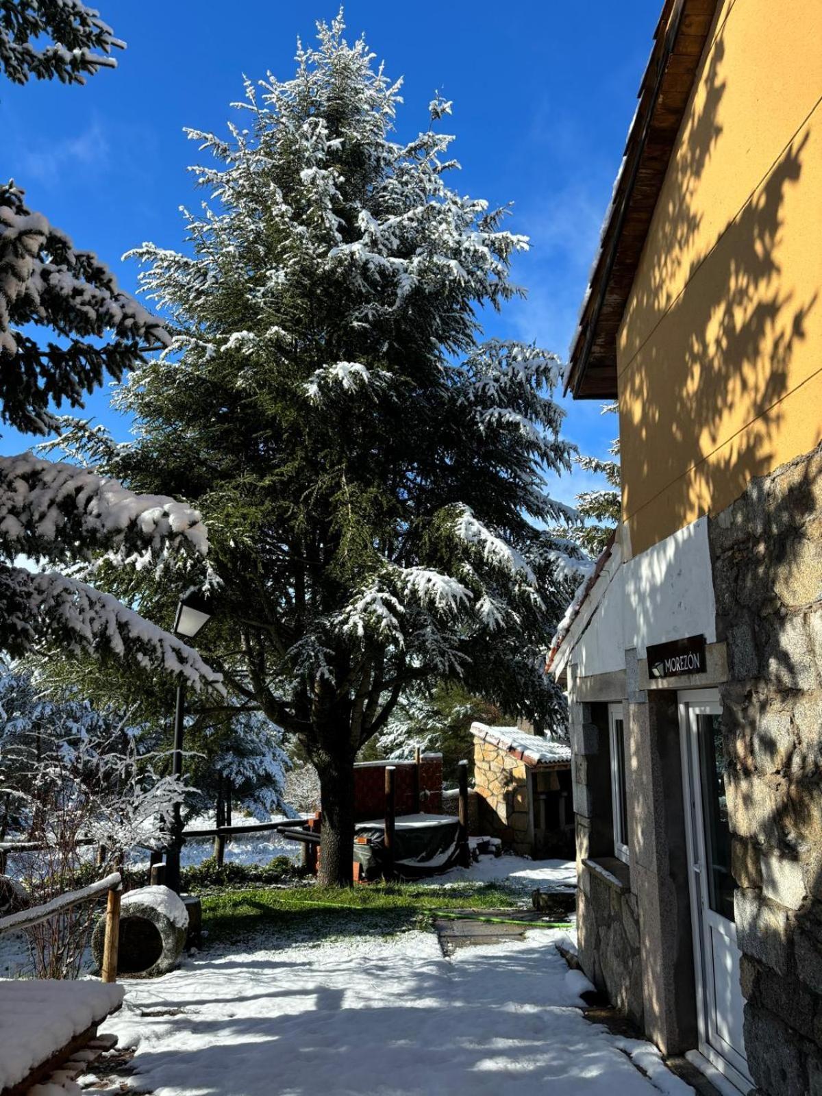 Altogredos Hotel Rural Y Apartamentos Turisticos Hoyos del Espino Eksteriør billede